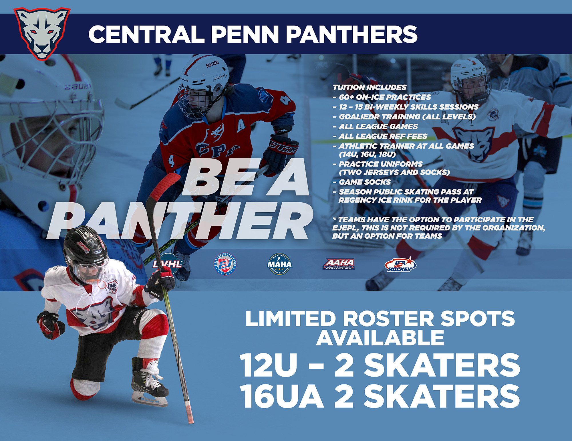 Be A Member Of The Central Penn Panthers Youth Ice Hockey Club